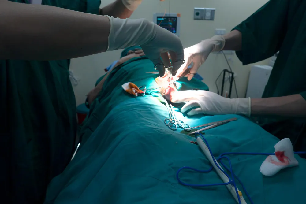 Gynecologic Laparoscopic Surgery