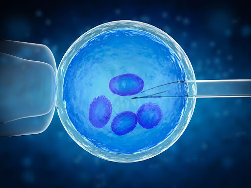 How Is Egg Taken for IVF Treatment?