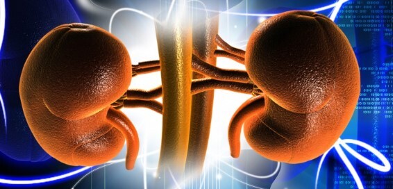 Nephrologist’s Guide: Understanding Kidney Disease And Treatment In Nepal