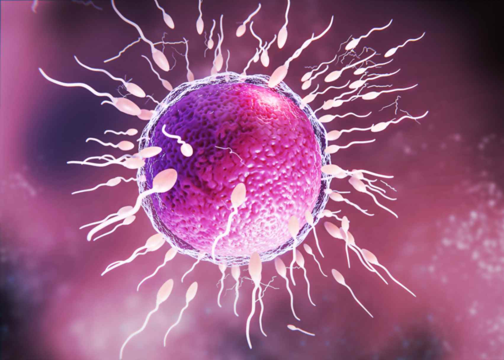 Signs of Bad Egg Quality That Can Affect IVF Success