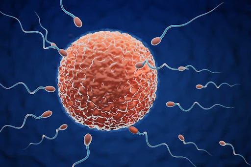IVF concept.